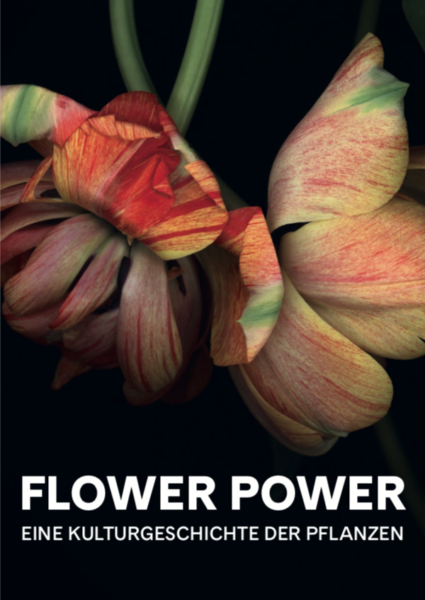 Bernhard Tragut Flower Power